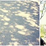 Superhero Session: Ivey & Cullen