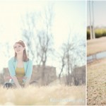 wpid1724-fieldgrass.jpg