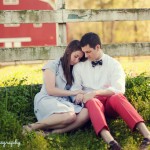 wpid1882-barnsitcolors.jpg