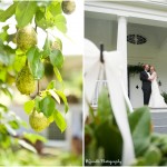 wpid2175-pearspair.jpg