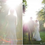 wpid2694-sunflare.jpg