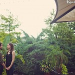 wpid2797-rainforest.jpg