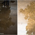 wpid2819-puddlesreflect.jpg
