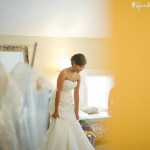 wpid2882-fluffthedress.jpg