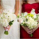 wpid2884-flowers.jpg