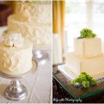 wpid2890-cakes.jpg