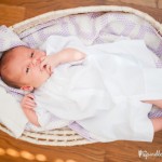 wpid3235-babyinabasket.jpg