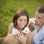 wpid3284-cutepuppycargo.jpg