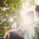 wpid3397-backlit.jpg
