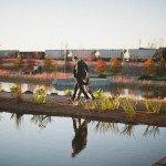 wpid3832-pondwalk.jpg