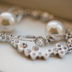 wpid3954-jewelry.jpg