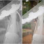 wpid4730-throughveil.jpg