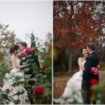 wpid4736-roseandleaves.jpg