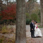 wpid4738-walkingtree.jpg